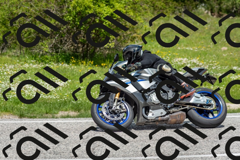 202505181208-DSC_9430_c2