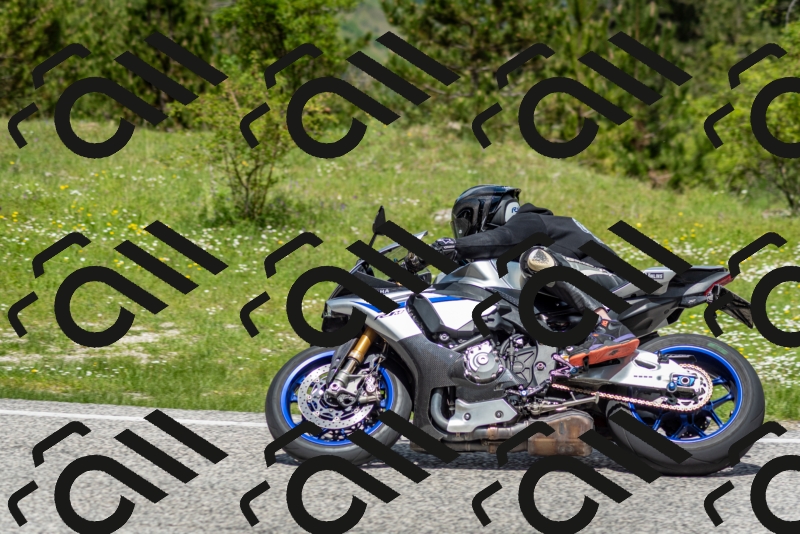 202505181208-DSC_9431_c2