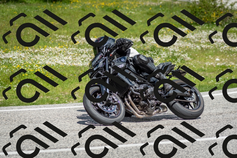 202505181208-DSC_9433_c2