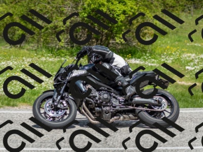 202505181208-DSC_9434_c2