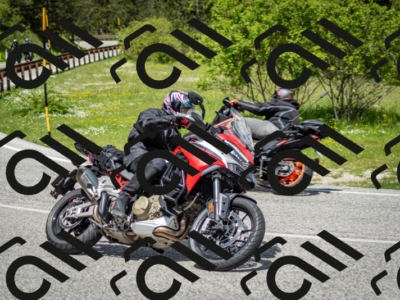 202505181208-DSC_9438_c2