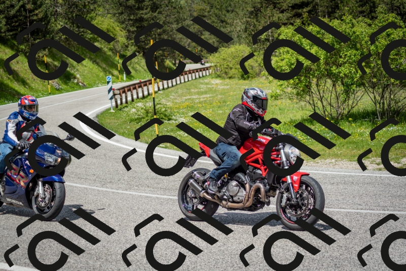 202505181208-DSC_9447_c2