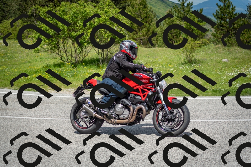 202505181208-DSC_9448_c2