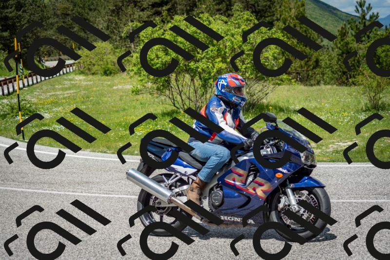 202505181208-DSC_9449_c2