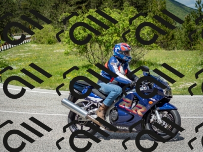 202505181208-DSC_9449_c2