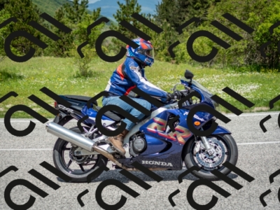 202505181208-DSC_9450_c2