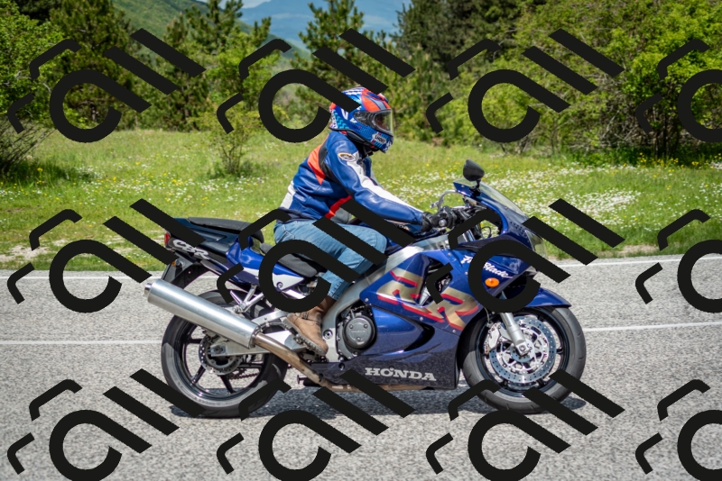 202505181208-DSC_9450_c2