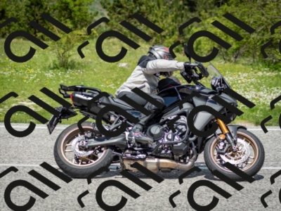 202505181208-DSC_9451_c2