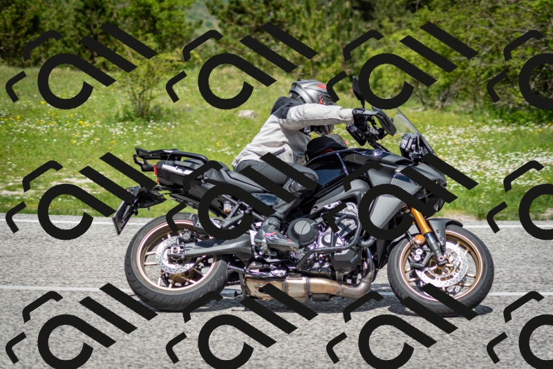 202505181208-DSC_9451_c2