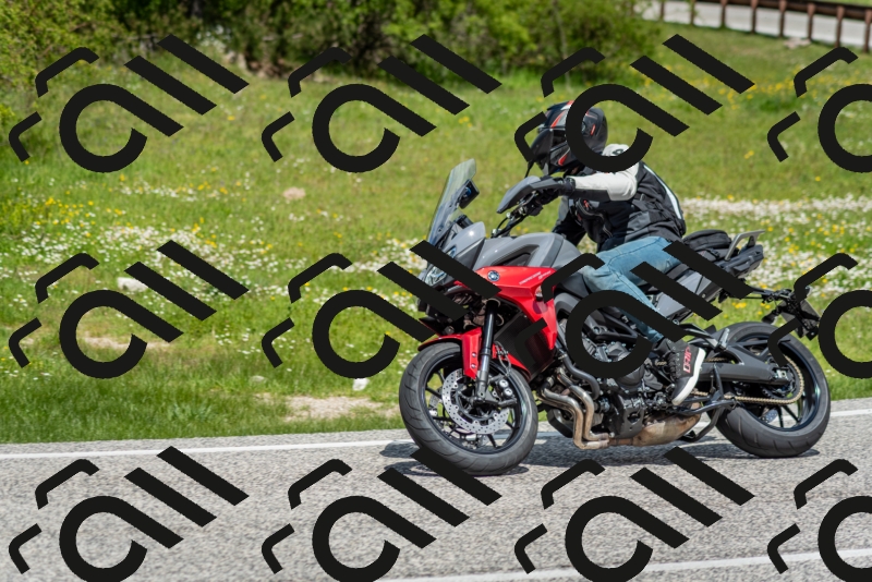 202505181208-DSC_9454_c2