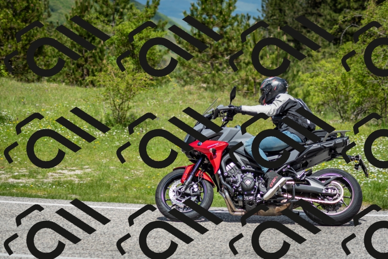 202505181208-DSC_9455_c2