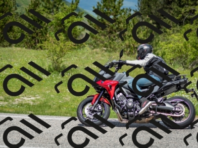 202505181208-DSC_9455_c2