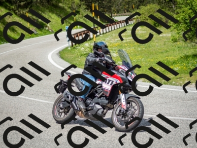 202505181209-DSC_9458_c2