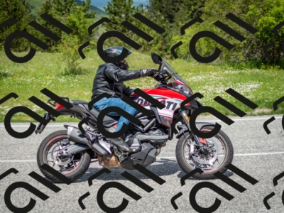 202505181209-DSC_9459_c2