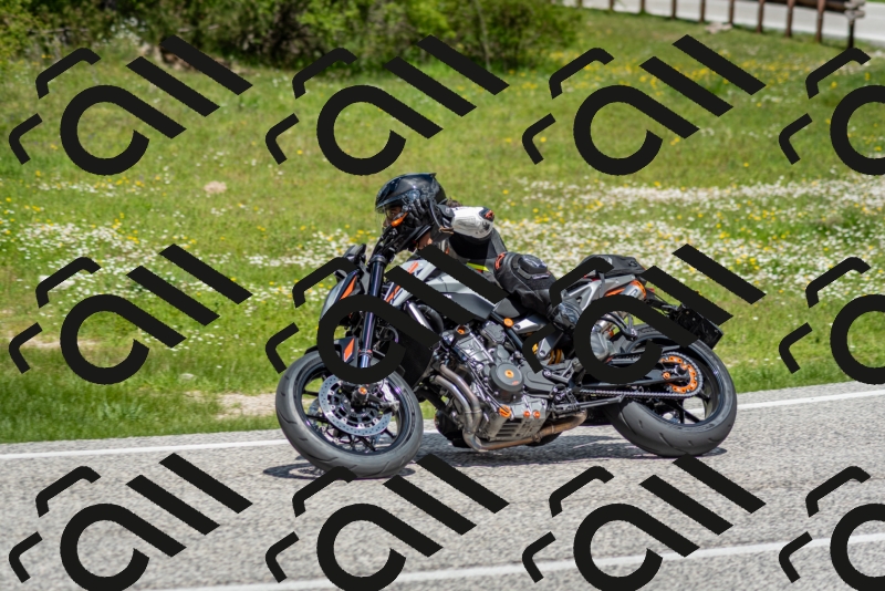 202505181209-DSC_9461_c2