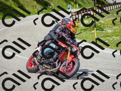 202505181209-DSC_9463_c2