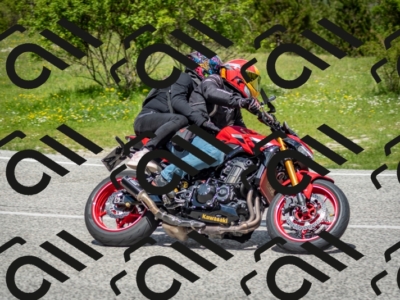 202505181209-DSC_9464_c2