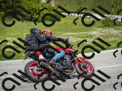 202505181209-DSC_9465_c2