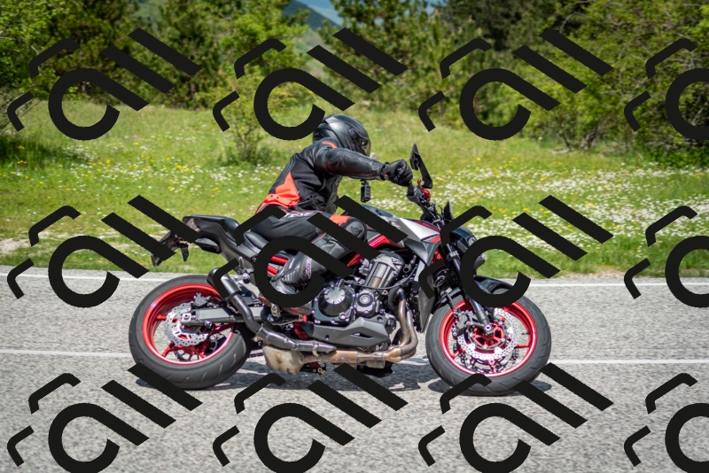 202505181209-DSC_9467_c2