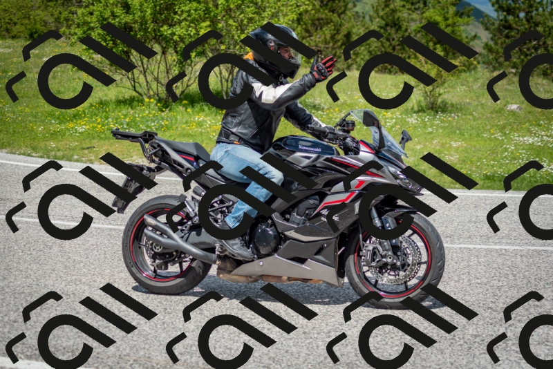 202505181209-DSC_9472_c2