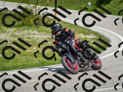 202505181210-DSC_9476_c2