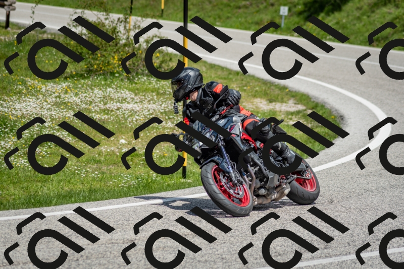 202505181210-DSC_9476_c2