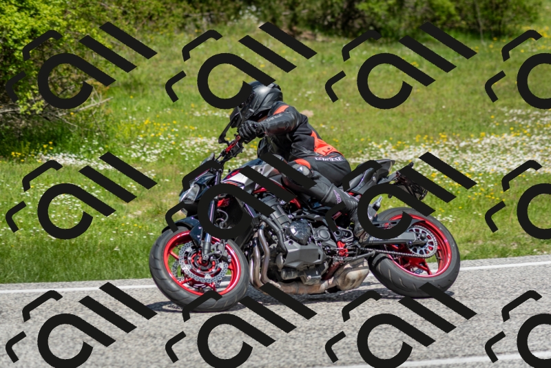 202505181210-DSC_9477_c2