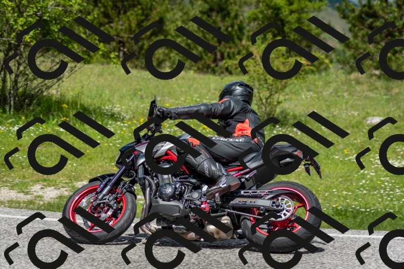 202505181210-DSC_9478_c2