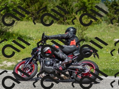 202505181210-DSC_9478_c2