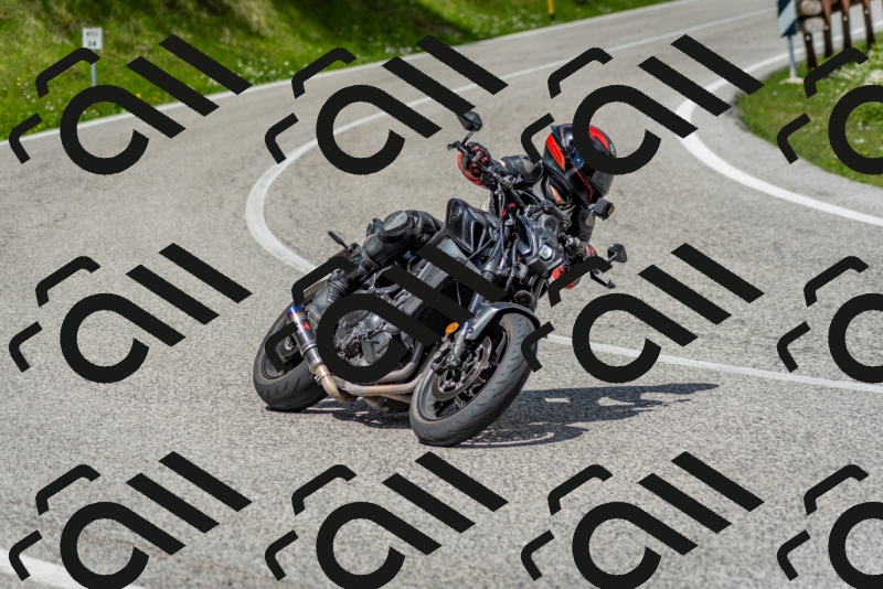 202505181210-DSC_9482_c2