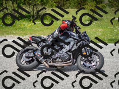 202505181210-DSC_9483_c2