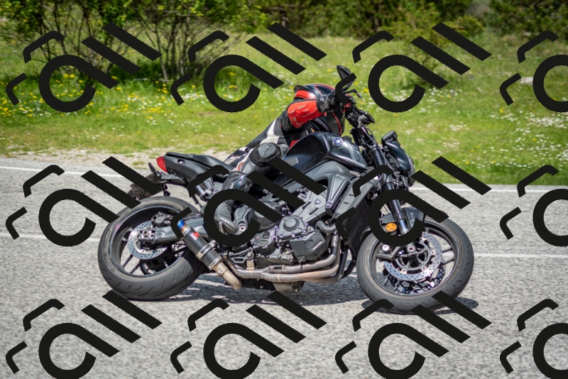 202505181210-DSC_9483_c2