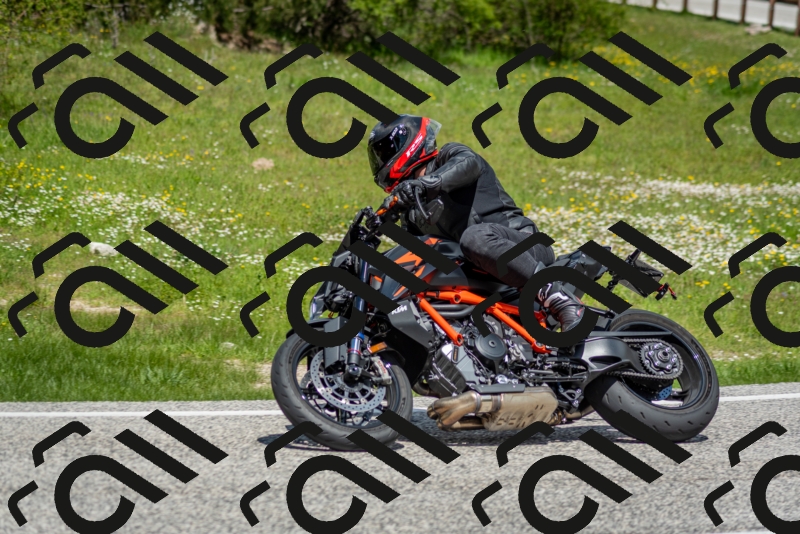 202505181210-DSC_9489_c2