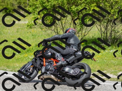 202505181210-DSC_9490_c2