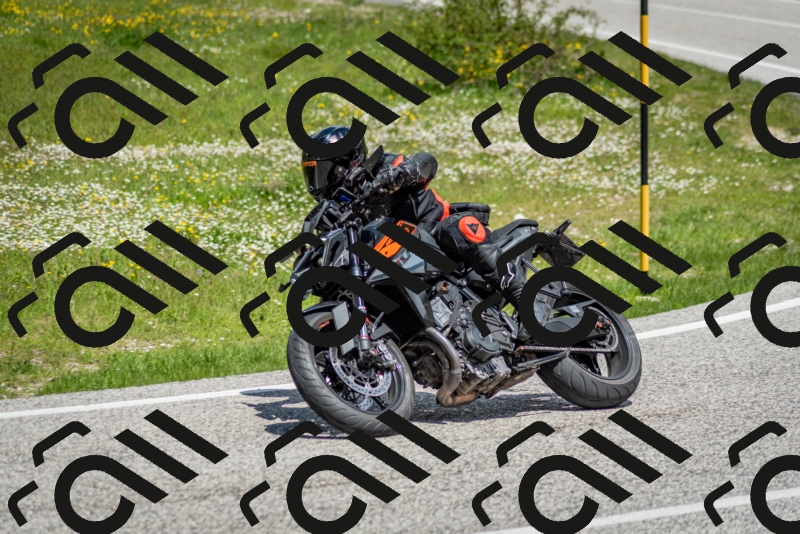 202505181210-DSC_9491_c2