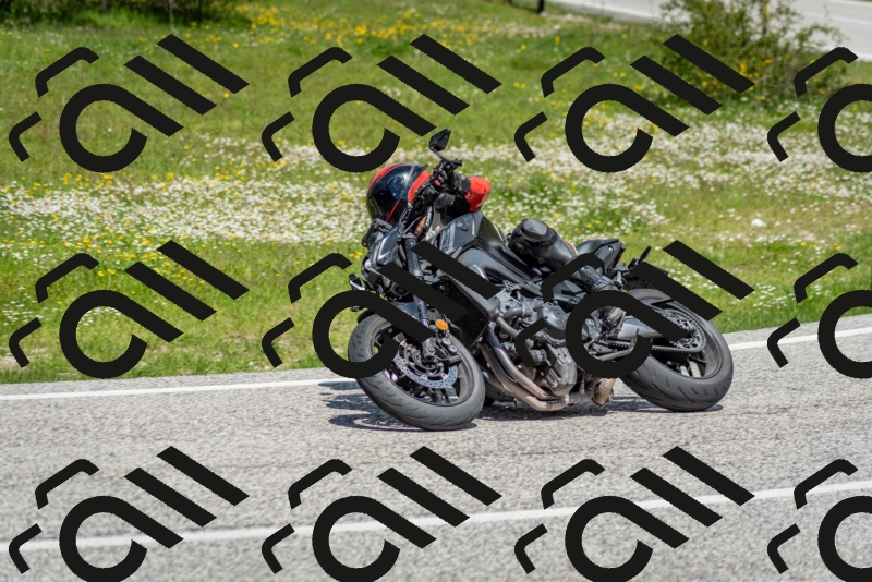 202505181210-DSC_9495_c2