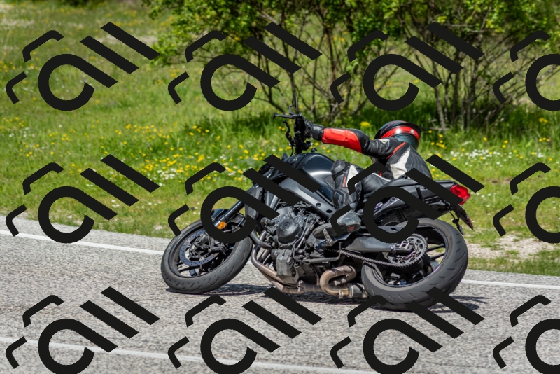 202505181210-DSC_9497_c2