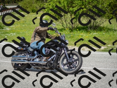 202505181210-DSC_9499_c2