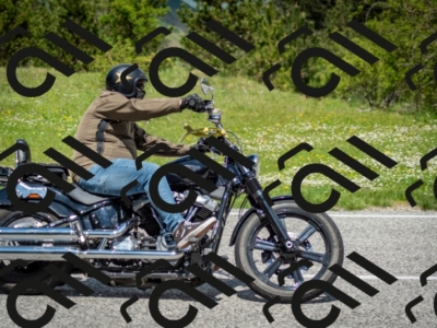 202505181210-DSC_9500_c2