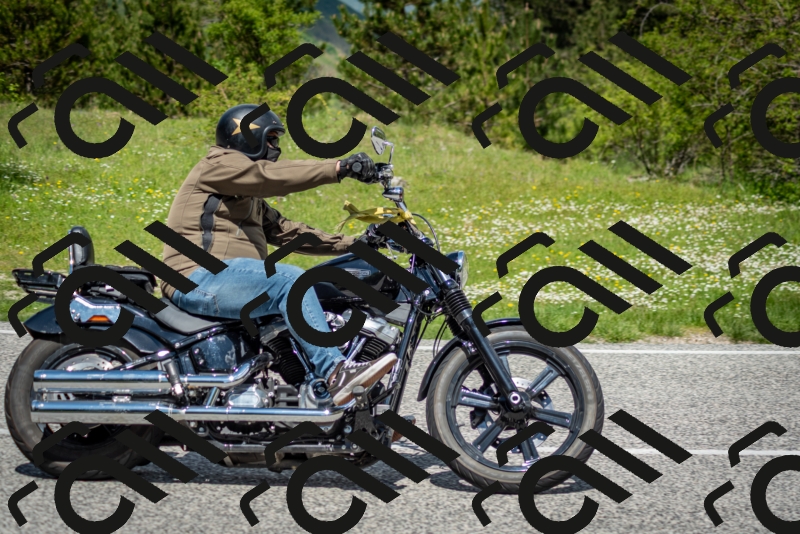 202505181210-DSC_9500_c2