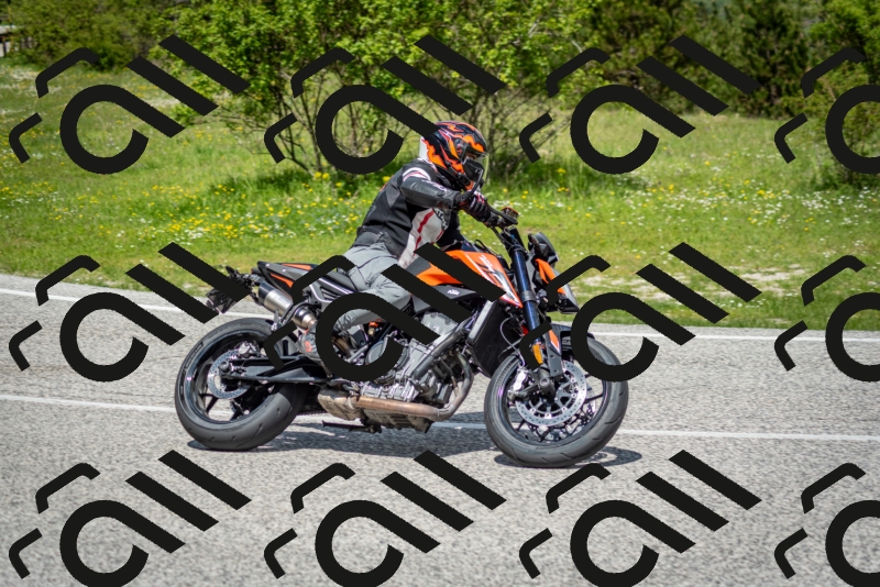 202505181210-DSC_9503_c2