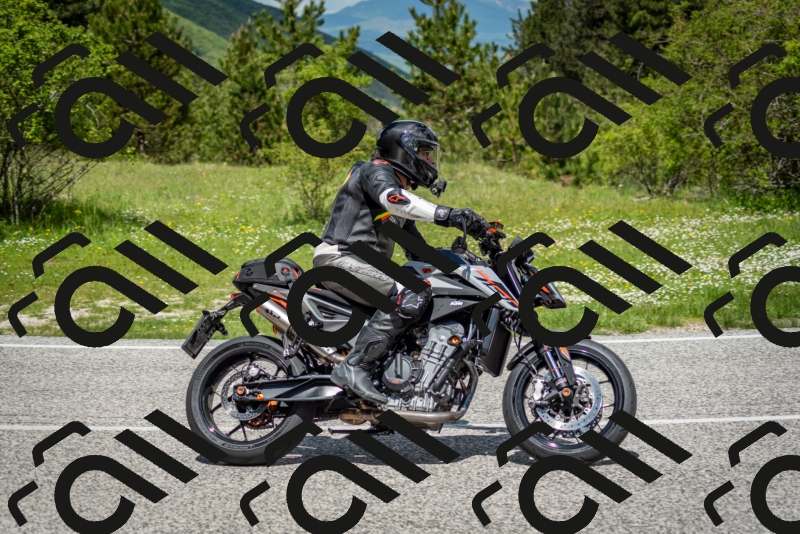 202505181210-DSC_9505_c2