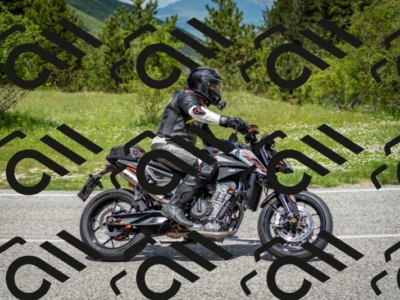 202505181210-DSC_9505_c2