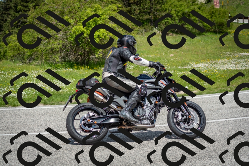 202505181210-DSC_9506_c2