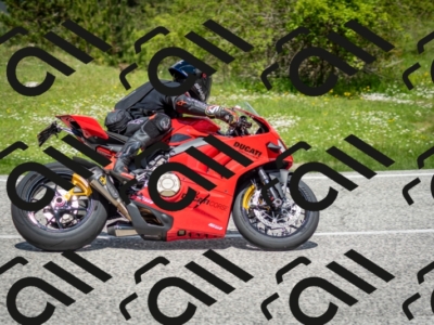 202505181210-DSC_9512_c2