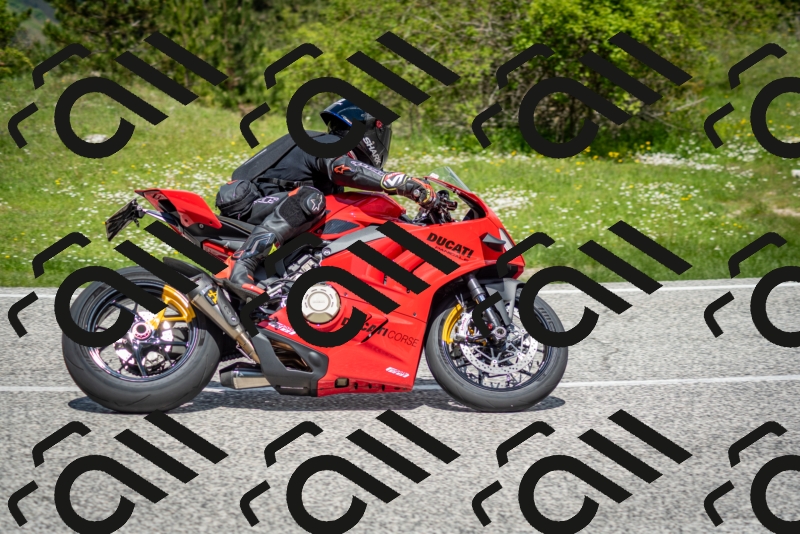 202505181210-DSC_9512_c2