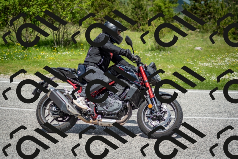 202505181211-DSC_9514_c2