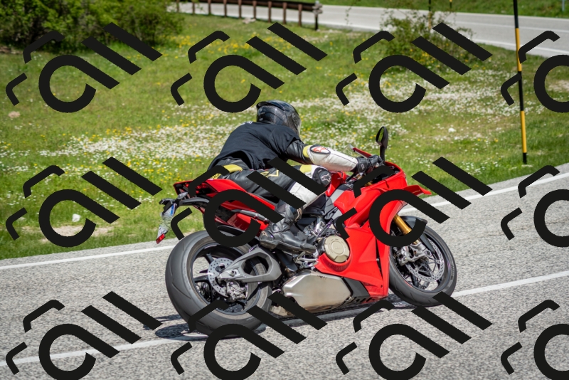 202505181211-DSC_9519_c2