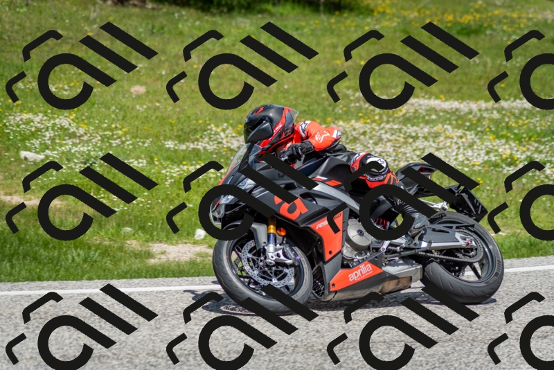 202505181212-DSC_9529_c2