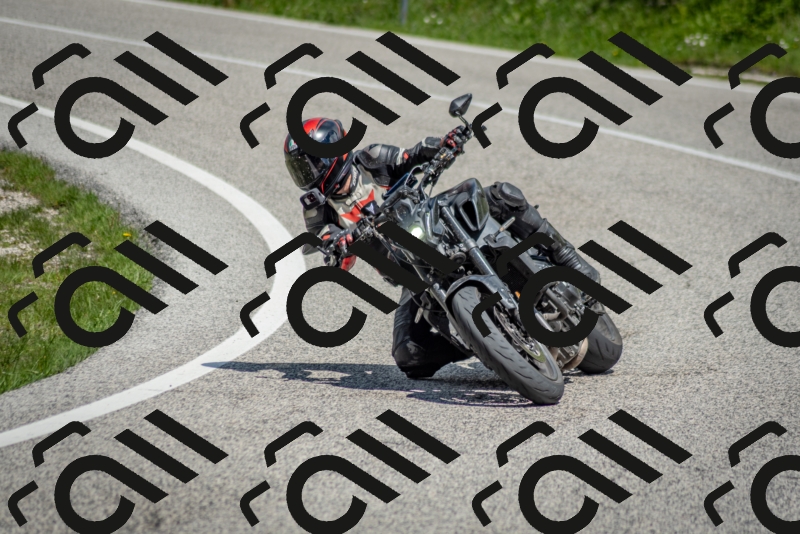 202505181212-DSC_9531_c2